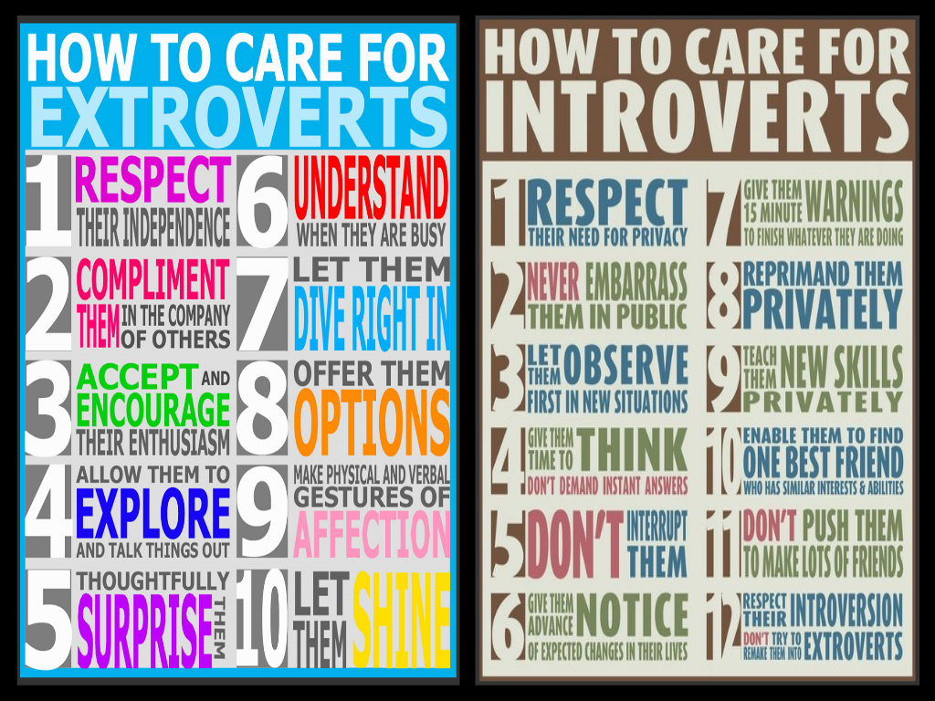 introvert extrovert arnhem 2beinbalance