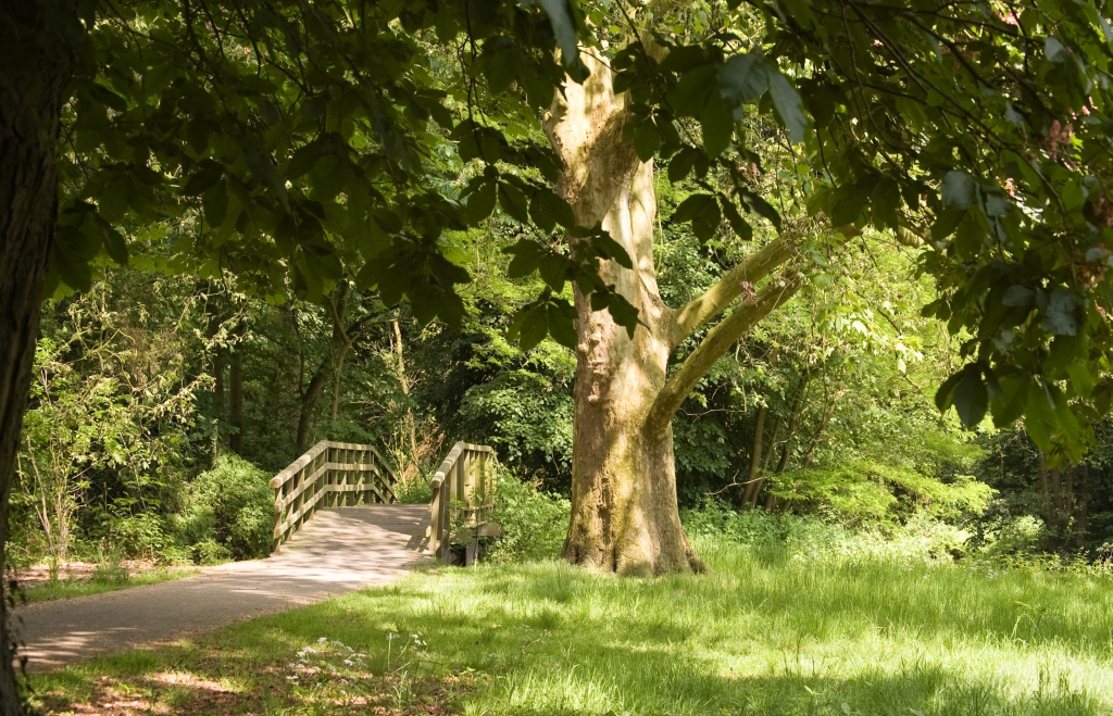 Wandelen in de natuur - Arnhem