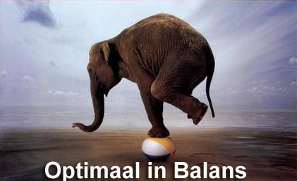 Optimaal in balans 2beinbalance arnhem