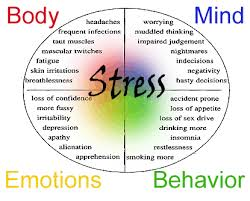 stress hsp oorzaken 2beinbalance