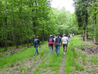 Stress release wandeling 2beinbalance arnhem